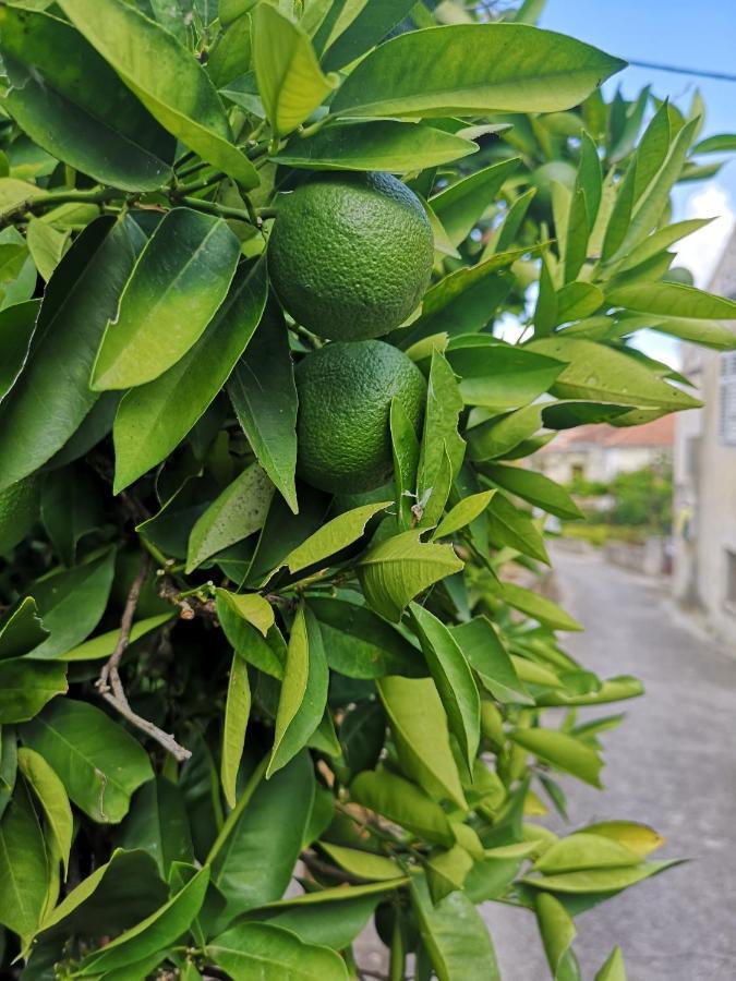 فندق Casa Segota Veli Iž المظهر الخارجي الصورة