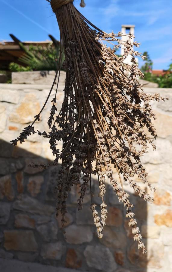 فندق Casa Segota Veli Iž المظهر الخارجي الصورة